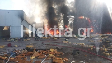 Φωτιά σε συσκευαστήριο στο Ζευγολατιό Κορινθίας - Δείτε εικόνες και βίντεο