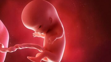 Πολωνία: Σε ισχύ η απόφαση για την απαγόρευση των αμβλώσεων