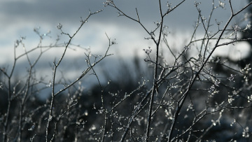 Καιρός - Φεβρουάριος 2021: Η εξέλιξη του καιρού -  Ήπια φαινόμενα και άνοδος της θερμοκρασίας - Πότε επιστρέφει η κακοκαιρία 
