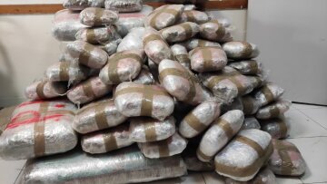 Θεσπρωτία: Κορμοί δέντρων έκρυβαν 167 κιλά κάνναβης