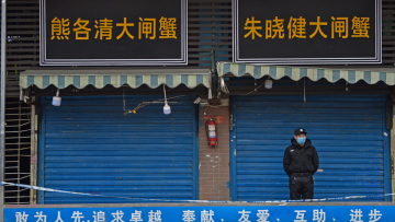 Ουχάν: Η ειδική ομάδα του ΠΟΥ «αθωώνει» νυχτερίδες και παγκολίνους για την μετάδοση του ιού