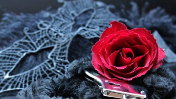 Άγιος Βαλεντίνος: Γραφείο Σερίφη προτρέπει άτομα να καταδώσουν τους φυγόδικους... πρώην τους