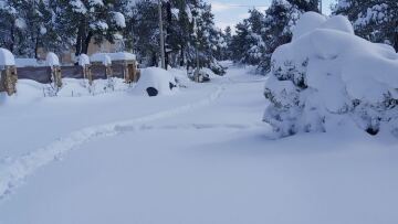 Eπείγουσα έκκληση του Δήμου Ωρωπού για εκχιονιστικά: Κινδυνεύουν ζωές