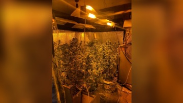 Ζάκυνθος: Τροχόσπιτο έγινε εργαστήριο παραγωγής υδροπονικής κάνναβης