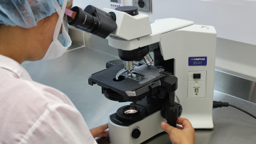 Συναγερμός στη Γερμανία - Επιθετικός ιός πολιομυελίτιδας ανιχνεύθηκε σε λύματα 