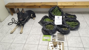 Θεσσαλονίκη: Ο «Ακύλας» βρήκε πάνω από ένα κιλό κάνναβης