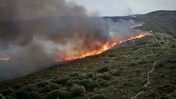 Άνδρος:  «Θα βάλω φωτιά» είχε απειλήσει πρόεδρος κοινότητας διαφωνώντας με τους δασικούς χάρτες