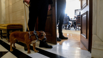 Η πρώτη επίσημη εμφάνιση του Peanut στο Μέγαρο Μαξίμου - Δείτε φωτογραφίες