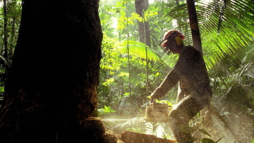 Βραζιλία: Το 94% της αποψίλωσης του δάσους του Αμαζονίου γίνεται παράνομα