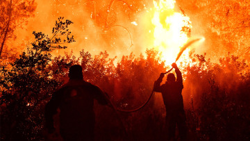 Φωτιά στο Σχίνο: Εκτός ελέγχου το μέτωπο στην περιοχή Κοκκιναρέα  Μεγάρων - Απεγκλωβίστηκαν άτομα με αναπηρία