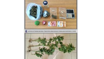 Μαγνησία: Καλλιεργούσε και διακινούσε κάνναβη