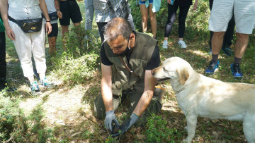 Μουσείο Φυσικής Ιστορίας Μετεώρων: Διοργανώνει εξορμήσεις για κυνήγι τρούφας