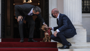 Peanut: Ο νέος σούπερ σταρ του Μαξίμου - Δείτε φωτογραφίες