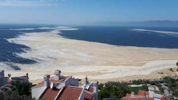 Τουρκία: Τι είναι η «γλίτσα» στη θάλασσα του Μαρμαρά - Πότε αναμένεται να υποχωρήσει