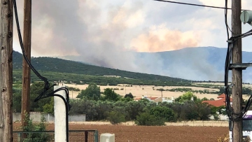 Θεσσαλονίκη: Υπό έλεγχο η φωτιά σε δασική έκταση στο δήμο Θέρμης