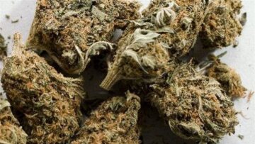 Γρεβενά: Ενάμισι χρόνο μετά βρήκαν ποιοι μετέφεραν 16 κιλά κάνναβης