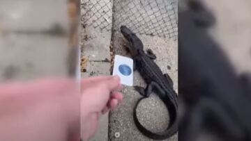 Βίντεο - Φλόριντα: Παρ'ολίγον εισβολή αλιγάτορα σε εκκλησία - Πάστορας: Είχε ανάγκη τον Χριστό