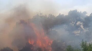 Έβρος: Ολονύχτια μάχη με τις φλόγες στη Λευκίμη - Βίντεο και φωτογραφίες 