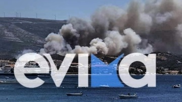Φωτιά σε δασική έκταση στα Στύρα Ευβοίας - Εκκενώθηκε το Νημποριό