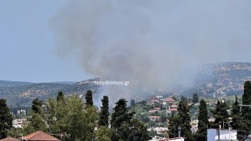 Φωτιά στη Νέα Ιωνία Βόλου κοντά σε κατοικημένη περιοχή - Κάηκαν ιδιοκτησίες και ζώα