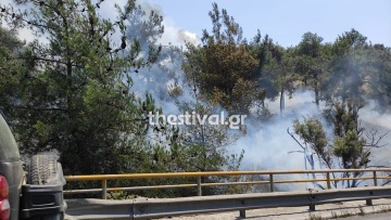 Σε ύφεση η μεγάλη φωτιά στο Σέιχ Σου - Βίντεο και φωτογραφίες 