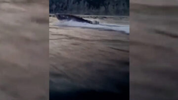 Λευκάδα: Βίντεο-ντοκουμέντο από την καταδίωξη κυκλώματος διακίνησης μεταναστών