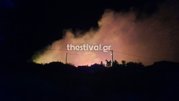  Θεσσαλονίκη: Μεγάλη φωτιά κοντά στη Νέα Ευκαρπία - Βίντεο και φωτογραφίες