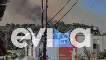 Υπό μερικό έλεγχο η φωτιά στη Λίμνη Ευβοίας