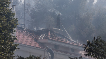 Φωτιά στη Σταμάτα: Ξεκίνησε από μελίσσια; - Πώς αποφεύχθηκαν τα χειρότερα - Μετράνε τις ζημιές οι κάτοικοι