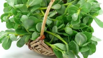 Γλιστρίδα: το σούπερ καλοκαιρινό λαχανικό με τα πολλαπλά οφέλη στον οργανισμό μας