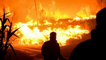 Τουρκία: Τέσσερις νεκροί και πάνω από 180 στο νοσοκομείο στις δασικές πυρκαγιές - Υποψίες για εμπρησμούς - Δείτε βίντεο