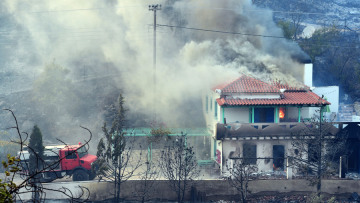 Σε πύρινο κλοιό Μεσσηνία και Μάνη - Κάηκαν πάνω από 700 στρέμματα ελιές και αμπελώνες