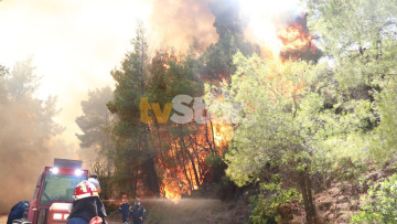 Υπό μερικό έλεγχο η φωτιά στον Θεολόγο: Σταμάτησαν τις φλόγες λίγο πριν το Μοναστήρι στη Μαλεσίνα 