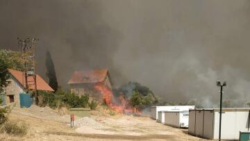 Πώς σώθηκε στο «παρά πέντε» το Τατόι - Η κήρυξή του ως αναδασωτέας περιοχής και οι υποψίες εμπρησμού