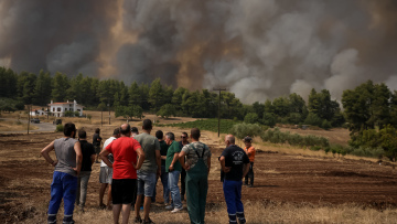 Πυρκαγιές: Ανάσα στην κεντρική Εύβοια – Έβρεξε για μία ώρα