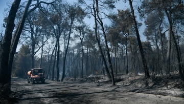 Οι δικηγόροι συνδράμουν οικονομικά στην αντιμετώπιση των συνεπειών των πυρκαγιών
