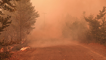 Φωτιά στην Εύβοια: Καίγονται  σπίτια στο Πευκί - Ακόμα και με κουβάδες δίνουν μάχη κάτοικοι και πυροσβέστες 