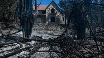 Κτήμα Τατοΐου: Ξεκινά άμεσα η αναδάσωσή του - Δείτε φωτογραφίες από τις πληγείσες περιοχές 