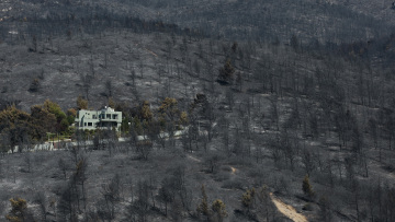 Πυρκαγιές: Οικολογική καταστροφή με περισσότερα από 650.000 στρέμματα καμένα σε όλη τη χώρα