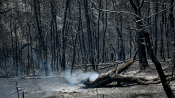 Κλιματική Αλλαγή: Έκθεση του ΟΗΕ δείχνει ότι η υπερθέρμανση του πλανήτη επιταχύνεται