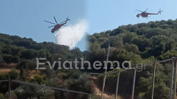 Φωτιά στις Πετριές Εύβοιας: Έσβησε μετά από την επέμβαση ισχυρών δυνάμεων της Πυροσβεστικής