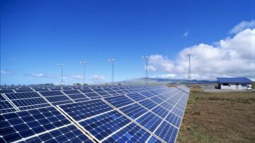 Θήβα:  «Μπουμπούκια» στη σπείρα που ρήμαζε φωτοβολταϊκά!