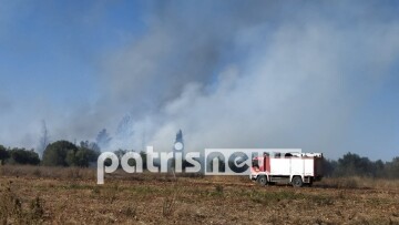 Φωτιά στα Δουνέικα Ηλείας - Δείτε φωτογραφίες