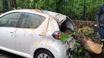 Κακοκαιρία «Μπάλλος»: Έπεσε δέντρο στη Σπύρου Μερκούρη - Ζημιές στα αυτοκίνητα και κυκλοφοριακό κομφούζιο