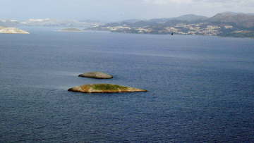 Μαίνεται ο «πόλεμος» της τσιπούρας στα Ίμια