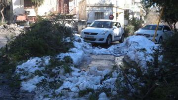 Δήμος Βριλησσίων: Αποζημιώσεις για ζημιές οχημάτων λόγω πτώσης δέντρων από την κακοκαιρία