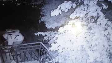 Βίντεο - ντοκουμέντο από την επίθεση με γκαζάκια στο σπίτι του Δημήτρη Καμπουράκη