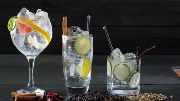 Πώς να πετύχετε τους τέλειους συνδυασμούς τζιν τόνικ