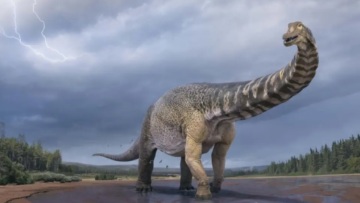 Οι δεινόσαυροι πέθαναν άνοιξη πριν περίπου 66 εκατομμύρια χρόνια, εκτιμούν Ευρωπαίοι επιστήμονες