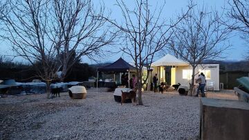 Κυνοκομείο Σπάρτης: Οργανώσεις και εθελοντές μετατρέπουν το «κολαστήριο» σε καταφύγιο  - Δείτε φωτογραφίες